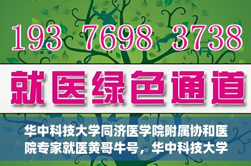华中科技大学同济医学院附属协和医院专家就医黄哥牛号，华中科技大学同济医学院附属协和医院专家黄哥牛号解析就医攻略