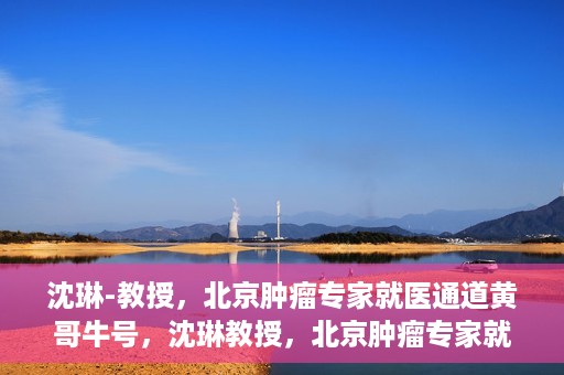 沈琳-教授，北京肿瘤专家就医通道黄哥牛号，沈琳教授，北京肿瘤专家就医通道揭秘——黄哥牛号领航健康之路