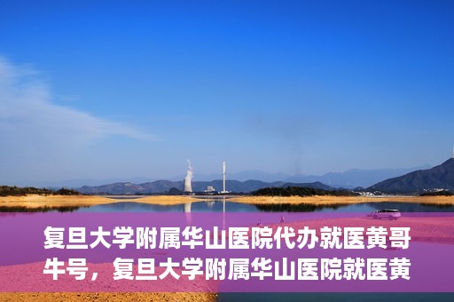 复旦大学附属华山医院代办就医黄哥牛号，复旦大学附属华山医院就医黄哥牛号代办服务详解