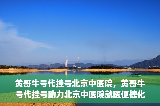 黄哥牛号代挂号北京中医院，黄哥牛号代挂号助力北京中医院就医便捷化