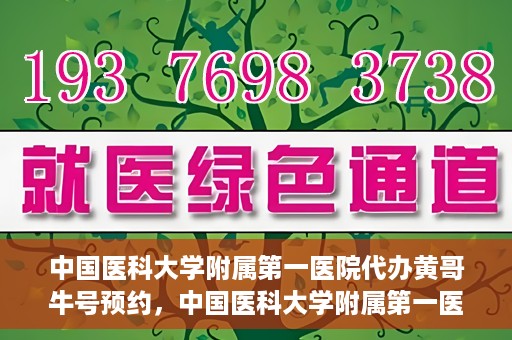 中国医科大学附属第一医院代办黄哥牛号预约，中国医科大学附属第一医院预约挂号代办服务解析——黄哥牛号预约揭秘