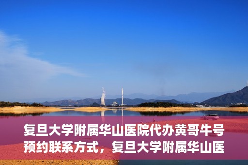 复旦大学附属华山医院代办黄哥牛号预约联系方式，复旦大学附属华山医院预约挂号联系方式及代办服务解析，黄哥牛号预约揭秘