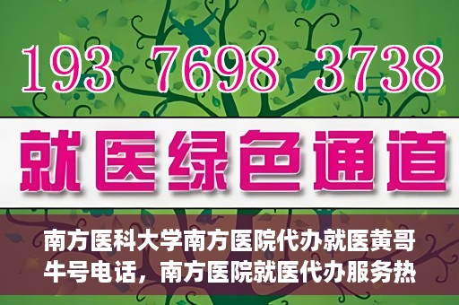 南方医科大学南方医院代办就医黄哥牛号电话，南方医院就医代办服务热线揭秘，黄哥牛号电话助您轻松就医！
