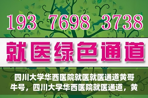 四川大学华西医院就医就医通道黄哥牛号，四川大学华西医院就医通道，黄哥牛号引领就医新纪元