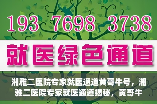 湘雅二医院专家就医通道黄哥牛号，湘雅二医院专家就医通道揭秘，黄哥牛号引领就医新风尚