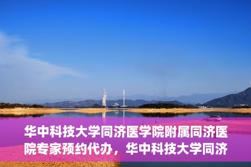 华中科技大学同济医学院附属同济医院专家预约代办，华中科技大学同济医院专家预约代办服务详解