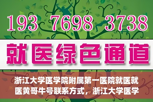浙江大学医学院附属第一医院就医就医黄哥牛号联系方式，浙江大学医学院附属第一医院就医攻略，黄哥牛号联系方式全解析