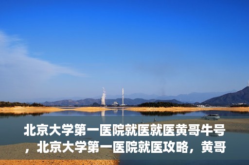 北京大学第一医院就医就医黄哥牛号，北京大学第一医院就医攻略，黄哥牛号助您轻松挂号就医
