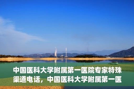 中国医科大学附属第一医院专家特殊渠道电话，中国医科大学附属第一医院专家特殊渠道专线揭秘