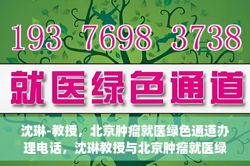沈琳-教授，北京肿瘤就医绿色通道办理电话，沈琳教授与北京肿瘤就医绿色通道，一键通话解决就医难题
