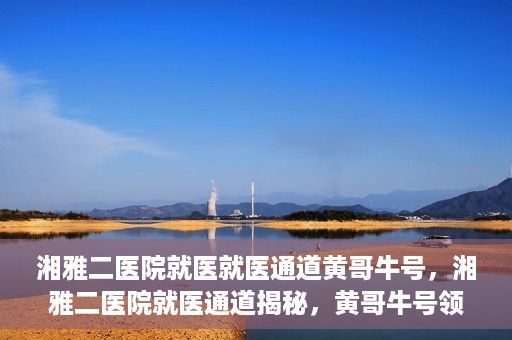 湘雅二医院就医就医通道黄哥牛号，湘雅二医院就医通道揭秘，黄哥牛号领航就医路