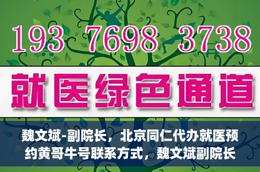魏文斌-副院长，北京同仁代办就医预约黄哥牛号联系方式，魏文斌副院长与北京同仁医院预约就医攻略，黄哥牛号联系方式揭秘
