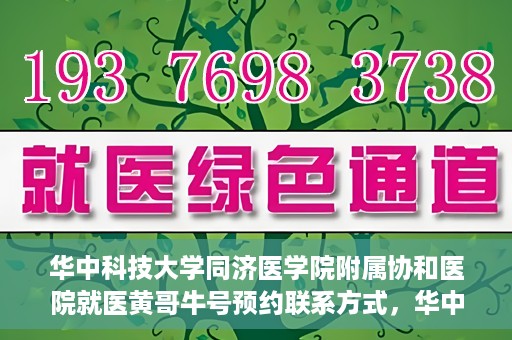 华中科技大学同济医学院附属协和医院就医黄哥牛号预约联系方式，华中科技大学同济医学院附属协和医院就医预约联系方式及黄哥牛号预约揭秘