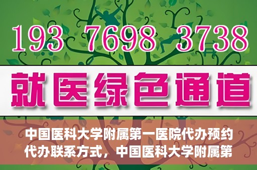 中国医科大学附属第一医院代办预约代办联系方式，中国医科大学附属第一医院预约挂号代办联系方式解析