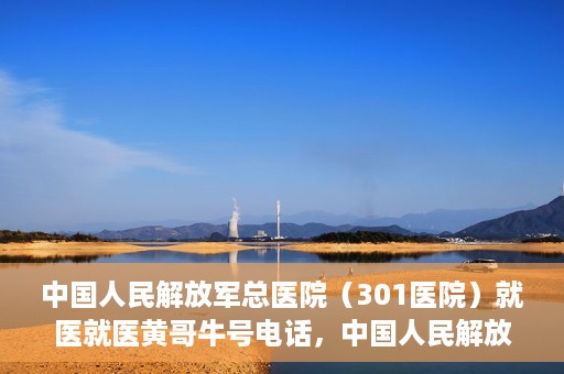 中国人民解放军总医院（301医院）就医就医黄哥牛号电话，中国人民解放军总医院（301医院）黄哥牛号电话就医攻略与指南