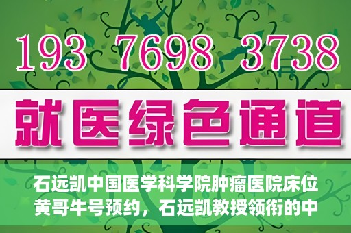 石远凯中国医学科学院肿瘤医院床位黄哥牛号预约，石远凯教授领衔的中国医学科学院肿瘤医院床位预约攻略，黄哥牛号预约详解