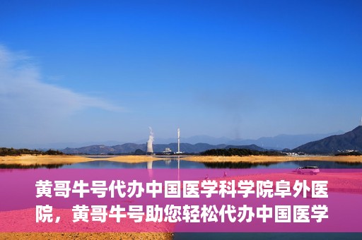 黄哥牛号代办中国医学科学院阜外医院，黄哥牛号助您轻松代办中国医学科学院阜外医院手续