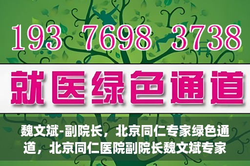 魏文斌-副院长，北京同仁专家绿色通道，北京同仁医院副院长魏文斌专家绿色通道介绍