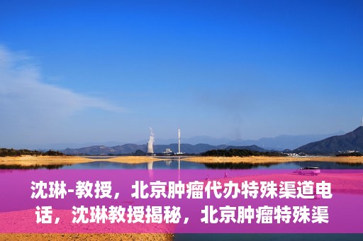 沈琳-教授，北京肿瘤代办特殊渠道电话，沈琳教授揭秘，北京肿瘤特殊渠道电话代办服务