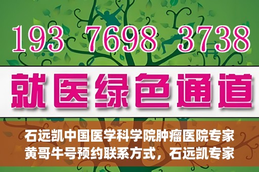 石远凯中国医学科学院肿瘤医院专家黄哥牛号预约联系方式，石远凯专家团队预约挂号攻略，中国医学科学院肿瘤医院黄哥牛号预约联系方式揭秘