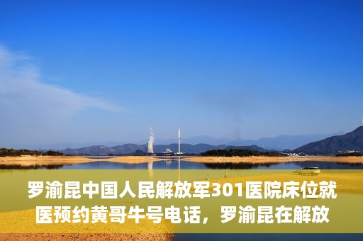 罗渝昆中国人民解放军301医院床位就医预约黄哥牛号电话，罗渝昆在解放军301医院的床位预约，就医指南与黄哥牛号电话揭秘