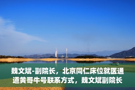 魏文斌-副院长，北京同仁床位就医通道黄哥牛号联系方式，魏文斌副院长与北京同仁医院床位就医通道，黄哥牛号联系方式揭秘