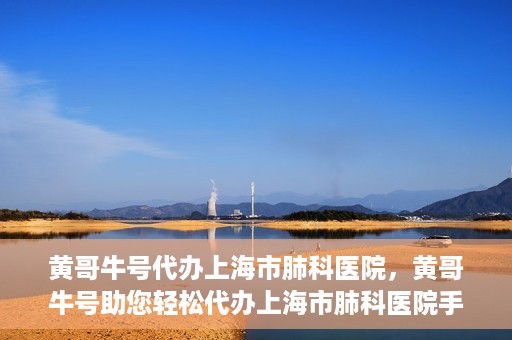 黄哥牛号代办上海市肺科医院，黄哥牛号助您轻松代办上海市肺科医院手续。