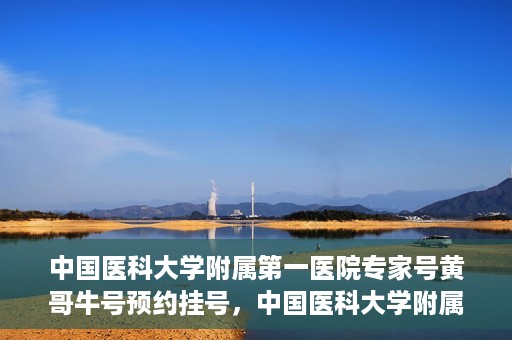 中国医科大学附属第一医院专家号黄哥牛号预约挂号，中国医科大学附属第一医院专家黄哥牛预约挂号攻略，轻松预约顶级专家号
