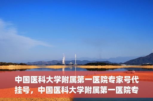 中国医科大学附属第一医院专家号代挂号，中国医科大学附属第一医院专家号预约挂号攻略