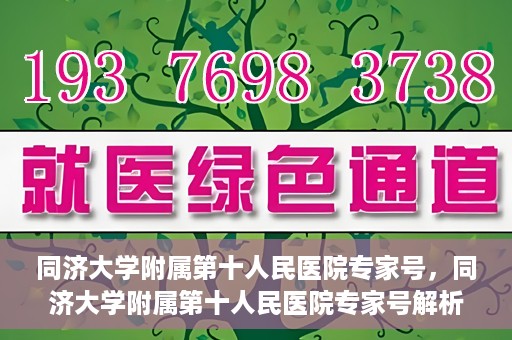 同济大学附属第十人民医院专家号，同济大学附属第十人民医院专家号解析，权威医疗团队的专业解读与诊疗服务
