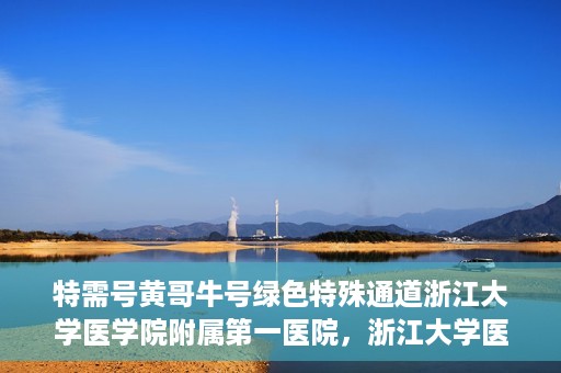 特需号黄哥牛号绿色特殊通道浙江大学医学院附属第一医院，浙江大学医学院附属第一医院特需绿色特殊通道，黄哥牛号传奇医疗之旅