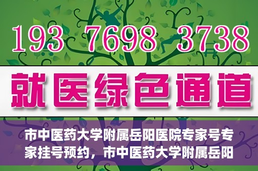 市中医药大学附属岳阳医院专家号专家挂号预约，市中医药大学附属岳阳医院专家挂号预约系统，专业医疗资源的便捷通道