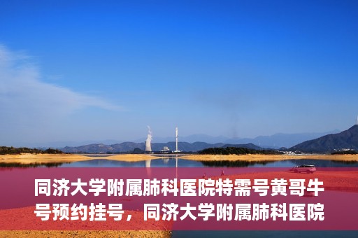 同济大学附属肺科医院特需号黄哥牛号预约挂号，同济大学附属肺科医院黄哥牛号特需号预约挂号攻略