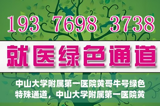 中山大学附属第一医院黄哥牛号绿色特殊通道，中山大学附属第一医院黄哥牛号，绿色特殊通道开启健康之门