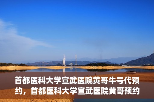 首都医科大学宣武医院黄哥牛号代预约，首都医科大学宣武医院黄哥预约代挂号服务解析