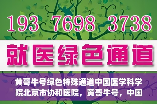 黄哥牛号绿色特殊通道中国医学科学院北京市协和医院，黄哥牛号，中国医学科学院北京市协和医院开启绿色特殊通道助力健康前行