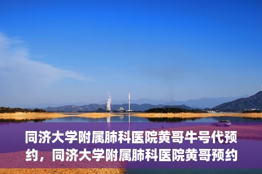 同济大学附属肺科医院黄哥牛号代预约，同济大学附属肺科医院黄哥预约代预约服务启动