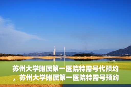 苏州大学附属第一医院特需号代预约，苏州大学附属第一医院特需号预约服务详解