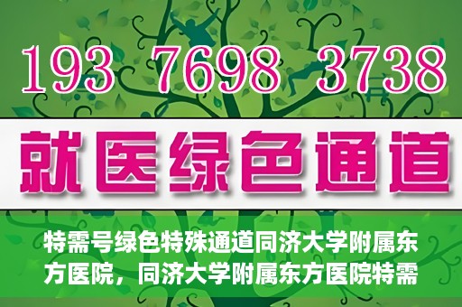 特需号绿色特殊通道同济大学附属东方医院，同济大学附属东方医院特需号绿色特殊通道，打造高品质医疗服务体验