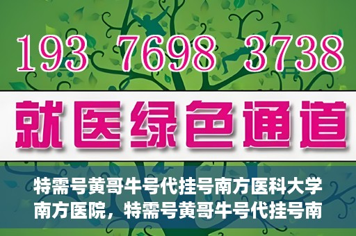 特需号黄哥牛号代挂号南方医科大学南方医院，特需号黄哥牛号代挂号南方医院就医攻略揭秘