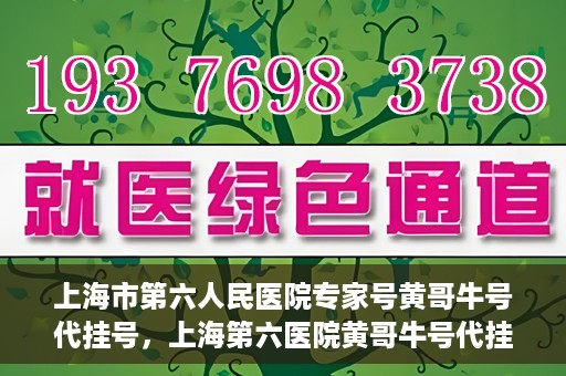 上海市第六人民医院专家号黄哥牛号代挂号，上海第六医院黄哥牛号代挂号专家预约服务解析