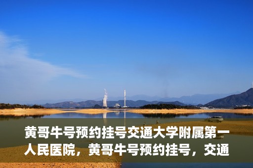 黄哥牛号预约挂号交通大学附属第一人民医院，黄哥牛号预约挂号，交通大学附属第一人民医院就医新体验