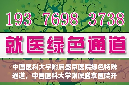 中国医科大学附属盛京医院绿色特殊通道，中国医科大学附属盛京医院开通绿色特殊通道，助力患者快速就医