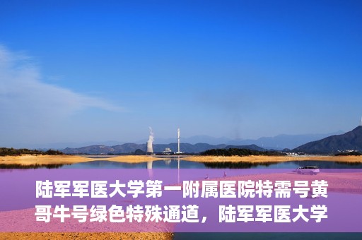 陆军军医大学第一附属医院特需号黄哥牛号绿色特殊通道，陆军军医大学第一附属医院特需号黄哥牛号，绿色特殊通道的独家解读