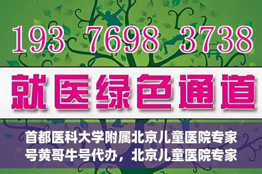 首都医科大学附属北京儿童医院专家号黄哥牛号代办，北京儿童医院专家黄哥牛号代办攻略，专业解读与预约指南