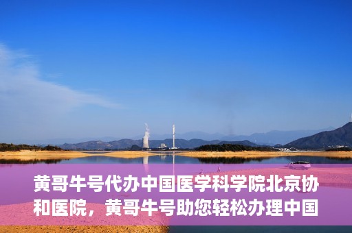 黄哥牛号代办中国医学科学院北京协和医院，黄哥牛号助您轻松办理中国医学科学院北京协和医院手续。