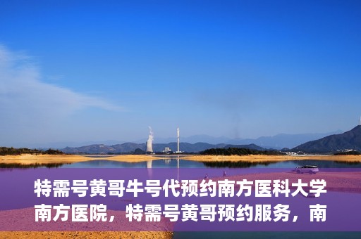 特需号黄哥牛号代预约南方医科大学南方医院，特需号黄哥预约服务，南方医科大学南方医院便捷就医新通道