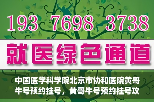 中国医学科学院北京市协和医院黄哥牛号预约挂号，黄哥牛号预约挂号攻略，中国医学科学院北京市协和医院就医指南