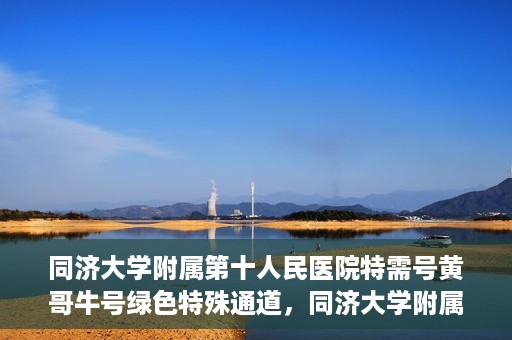 同济大学附属第十人民医院特需号黄哥牛号绿色特殊通道，同济大学附属第十医院特需号专家黄哥牛号开通绿色特殊通道服务患者
