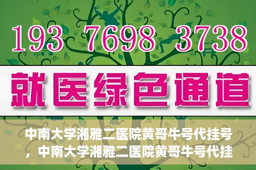 中南大学湘雅二医院黄哥牛号代挂号，中南大学湘雅二医院黄哥牛号代挂号，便捷就医背后的故事